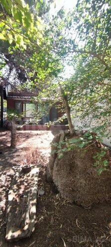 Продаётся  участок 60 сот, пос. Мардакан, photo 7 from 21