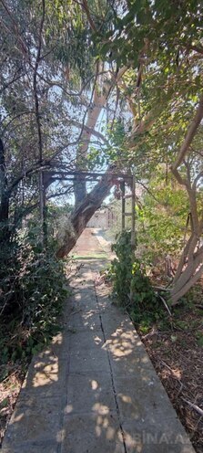 Продаётся  участок 60 сот, пос. Мардакан, photo 15 from 21