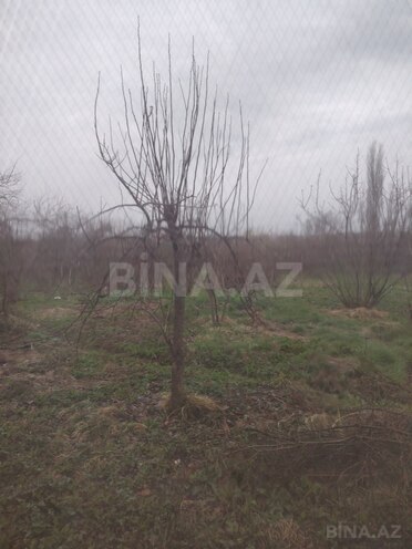 Satılır  torpaq 23 sot, Xaçmaz r., photo 5 from 6