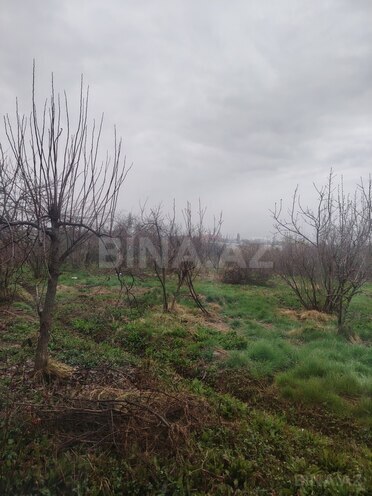 Satılır  torpaq 23 sot, Xaçmaz r., photo 4 from 6