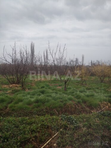 Satılır  torpaq 23 sot, Xaçmaz r., photo 3 from 6