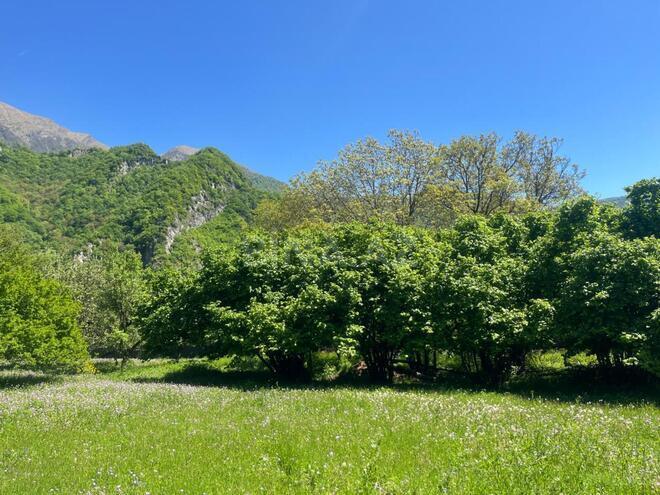 Satılır  torpaq 15 sot, photo 9 from 16