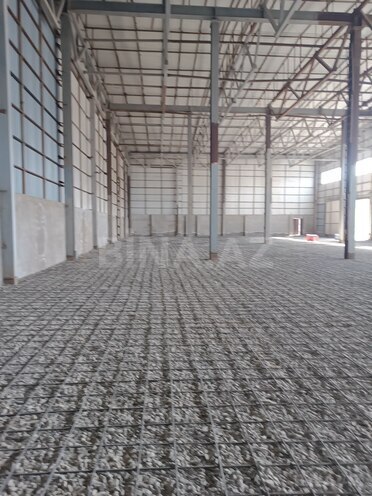 Сдаётся  объект 1 500 м², пос. Бинагади, photo 7 from 16