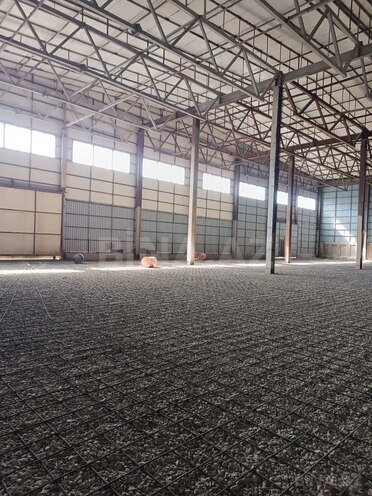 Сдаётся  объект 1 500 м², пос. Бинагади, photo 5 from 16