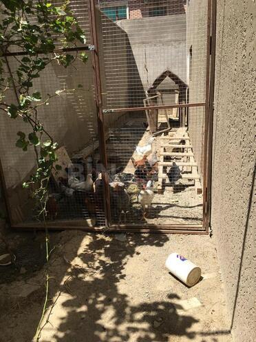 Продаётся 4-комн. дом/дача 110 м², пос. Мехтиабад, photo 5 from 13