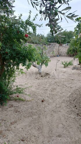 Продаётся  участок 24 сот, пос. Фатмаи, photo 7 from 12