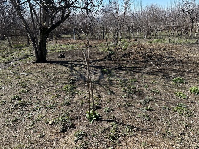 Продаётся  участок 10 сот, photo 4 from 6