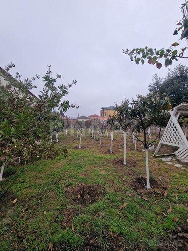 Satılır 2 otaqlı həyət evi/bağ evi 55 m², Zabrat q., photo 4 from 16