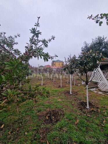 Satılır 2 otaqlı həyət evi/bağ evi 55 m², Zabrat q., photo 8 from 16