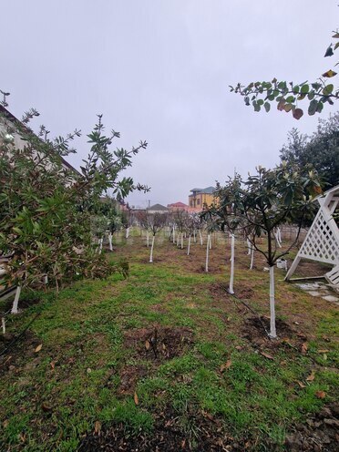 Satılır 2 otaqlı həyət evi/bağ evi 55 m², Zabrat q., photo 5 from 16