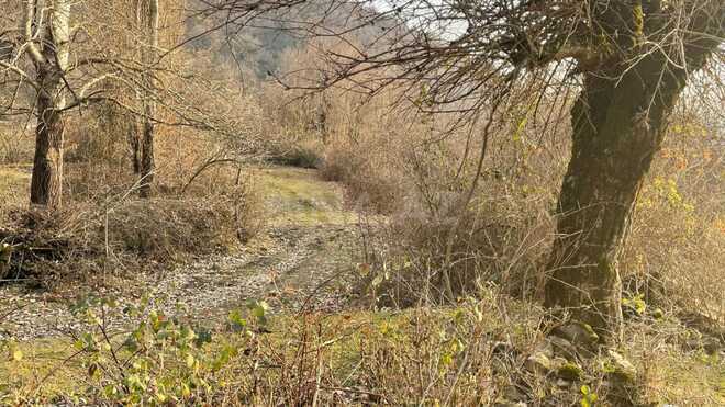 Продаётся  участок 20 сот, photo 6 from 11