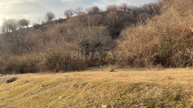 Продаётся  участок 20 сот, photo 7 from 11