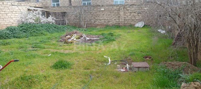 Продаётся  участок 2 сот, пос. Бина, photo 3 from 5