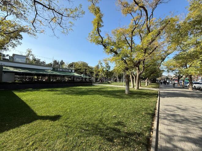 İcarəyə verilir 3 otaqlı yeni tikili 120 m², Nəriman Nərimanov m., photo 18 from 30