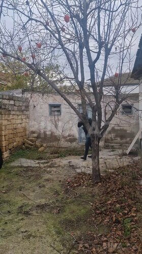 Satılır  torpaq 4 sot, photo 4 from 9