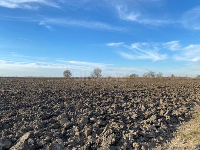 Satılır  torpaq 21 500 sot, photo 4 from 9