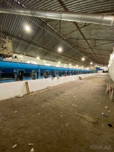 Satılır  obyekt 9 000 m², photo 14 from 25