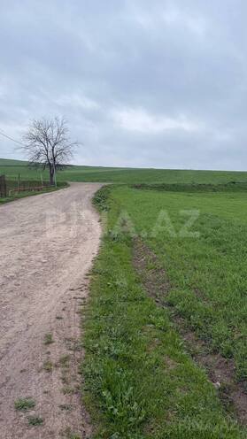 Satılır  torpaq 200 sot, photo 3 from 4