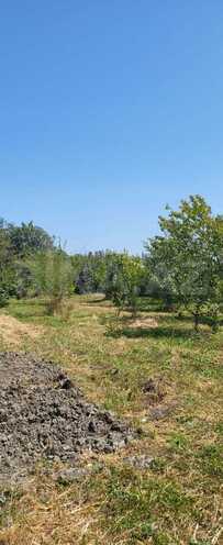 Satılır  torpaq 20 sot, Xaçmaz r., photo 4 from 7