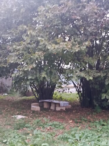 Satılır  torpaq 11.6 sot, photo 7 from 15