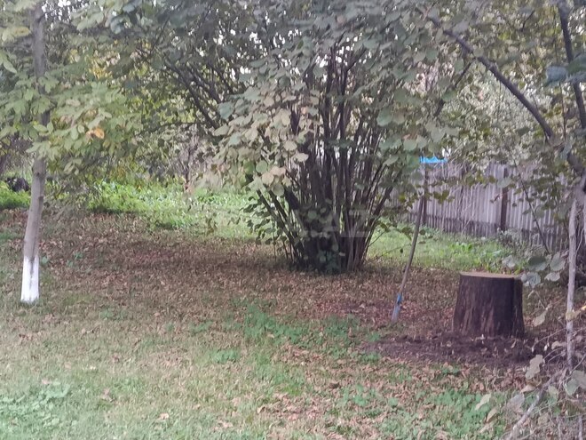 Satılır  torpaq 11.6 sot, photo 8 from 15