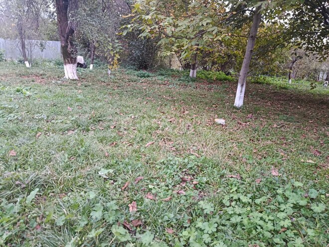 Satılır  torpaq 11.6 sot, photo 10 from 15