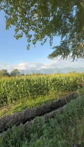 İcarəyə verilir  torpaq 850 sot, photo 3 from 9