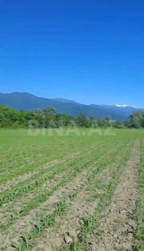 İcarəyə verilir  torpaq 850 sot, photo 8 from 9