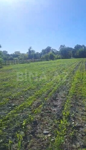 İcarəyə verilir  torpaq 850 sot, photo 5 from 9