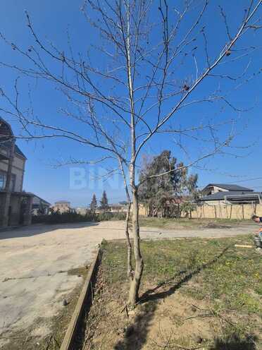 Продаётся 8-комн. дом/дача 1 000 м², пос. Нардаран, photo 19 from 22