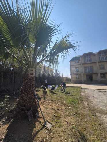 Продаётся 8-комн. дом/дача 1 000 м², пос. Нардаран, photo 7 from 22