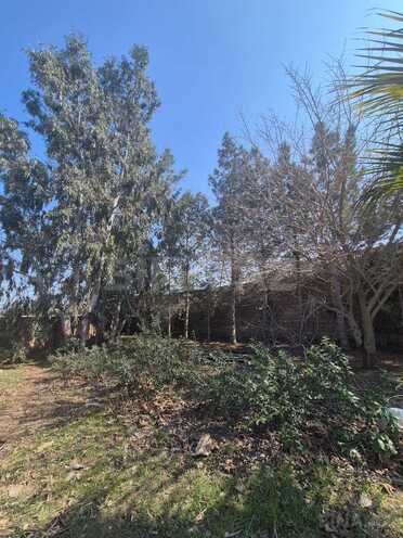 Продаётся 8-комн. дом/дача 1 000 м², пос. Нардаран, photo 16 from 22