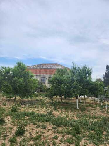 Satılır  torpaq 4 sot, Bilgəh q., photo 3 from 7