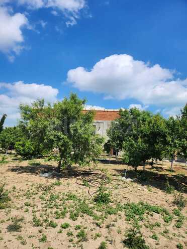 Satılır  torpaq 4 sot, Bilgəh q., photo 4 from 7