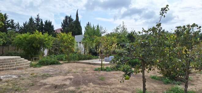 İcarəyə verilir 2 otaqlı həyət evi/bağ evi 80 m², Buzovna q., photo 6 from 15