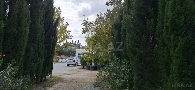 İcarəyə verilir 2 otaqlı həyət evi/bağ evi 80 m², Buzovna q., photo 4 from 15