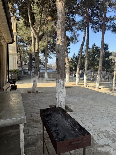 İcarəyə verilir 15 otaqlı həyət evi/bağ evi 600 m², Mərdəkan q., photo 9 from 10