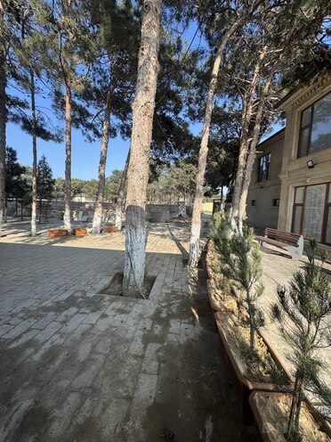 İcarəyə verilir 15 otaqlı həyət evi/bağ evi 600 m², Mərdəkan q., photo 8 from 10