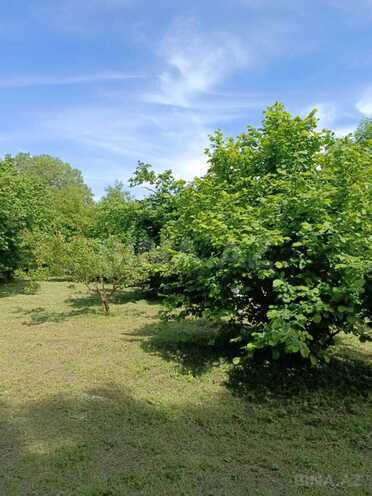 İcarəyə verilir 4 otaqlı həyət evi/bağ evi 140 m², photo 4 from 21