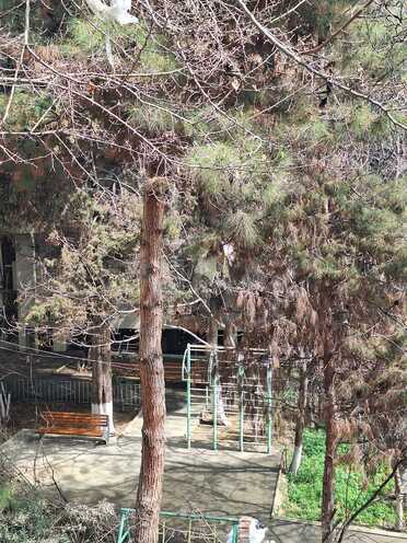 Продаётся 2-комн. вторичка 55 м², м. Ичеришехер, photo 22 from 24