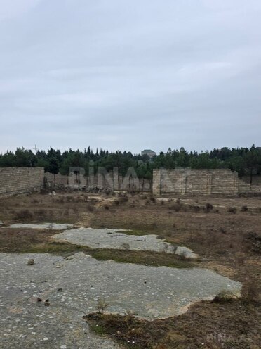 Продаётся  участок 30 сот, пос. Дюбенди, photo 8 from 9