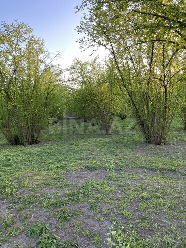 Satılır  torpaq 24 sot, photo 5 from 9