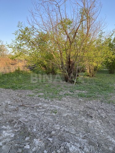 Satılır  torpaq 24 sot, photo 3 from 9