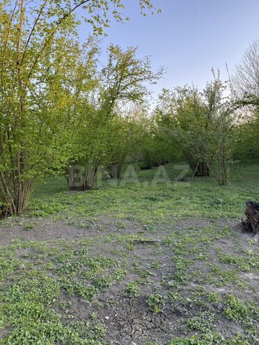 Satılır  torpaq 24 sot, photo 4 from 9