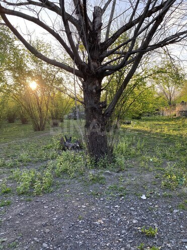 Satılır  torpaq 24 sot, photo 7 from 9