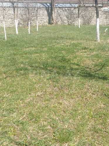 Satılır  torpaq 10 sot, photo 5 from 6