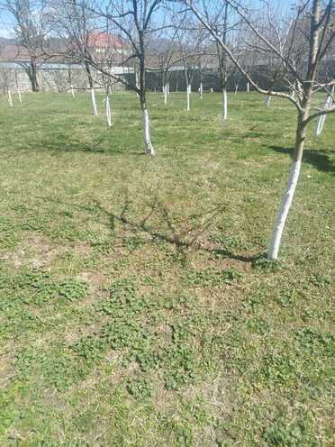 Satılır  torpaq 10 sot, photo 3 from 6