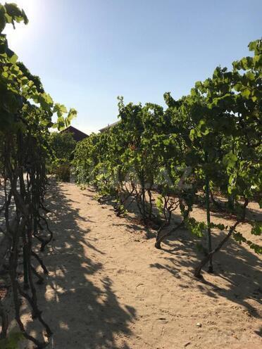 Продаётся 9-комн. дом/дача 300 м², photo 30 from 31