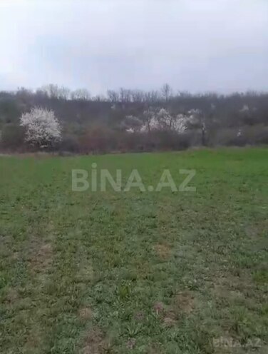 Продаётся  участок 15 сот, photo 5 from 9