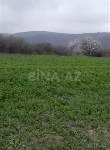 Продаётся  участок 15 сот, photo 4 from 9